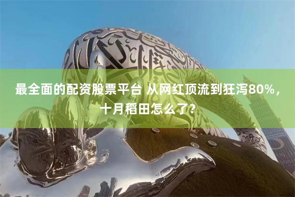 最全面的配资股票平台 从网红顶流到狂泻80%，十月稻田怎么了？