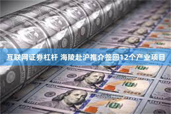 互联网证劵杠杆 海陵赴沪推介签回12个产业项目