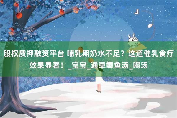 股权质押融资平台 哺乳期奶水不足？这道催乳食疗效果显著！_宝宝_通草鲫鱼汤_喝汤
