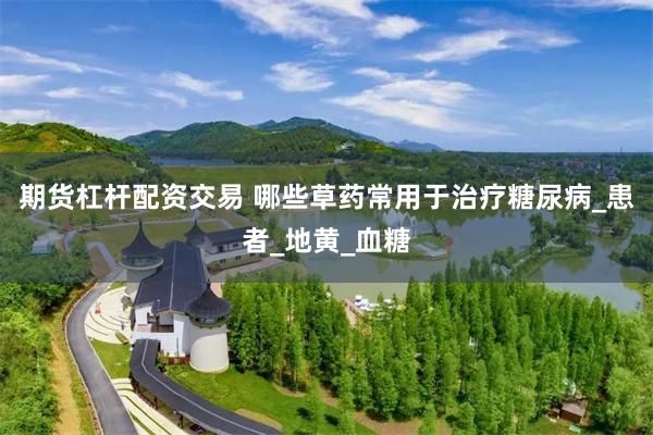 期货杠杆配资交易 哪些草药常用于治疗糖尿病_患者_地黄_血糖