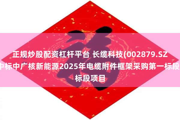 正规炒股配资杠杆平台 长缆科技(002879.SZ)：中标中广核新能源2025年电缆附件框架采购第一标段项目