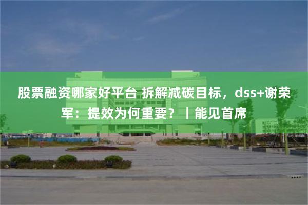 股票融资哪家好平台 拆解减碳目标，dss+谢荣军：提效为何重要？丨能见首席