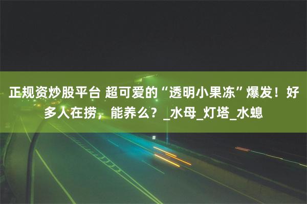 正规资炒股平台 超可爱的“透明小果冻”爆发！好多人在捞，能养么？_水母_灯塔_水螅